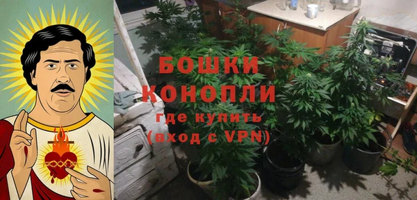 каннабис Бородино
